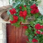 Tokaj-wine And