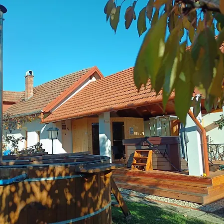 빌라 Tokaj-wine And