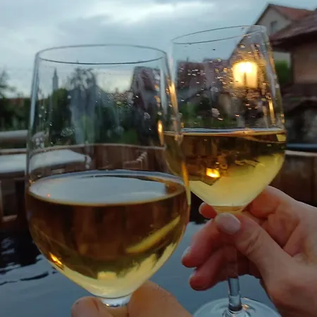 Tokaj-wine And Vila Mád