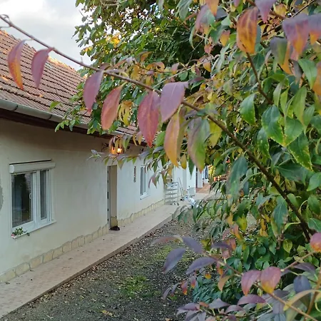 Tokaj-wine And Mád