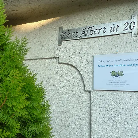 Tokaj-wine And Vila *