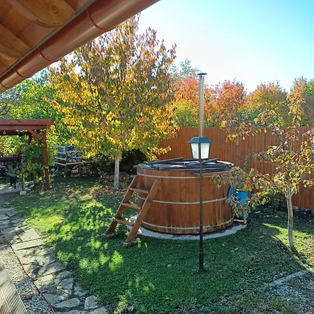 Tokaj-wine And * Mád