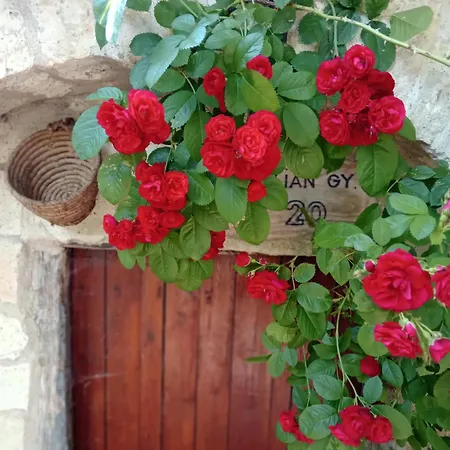 Tokaj-wine And