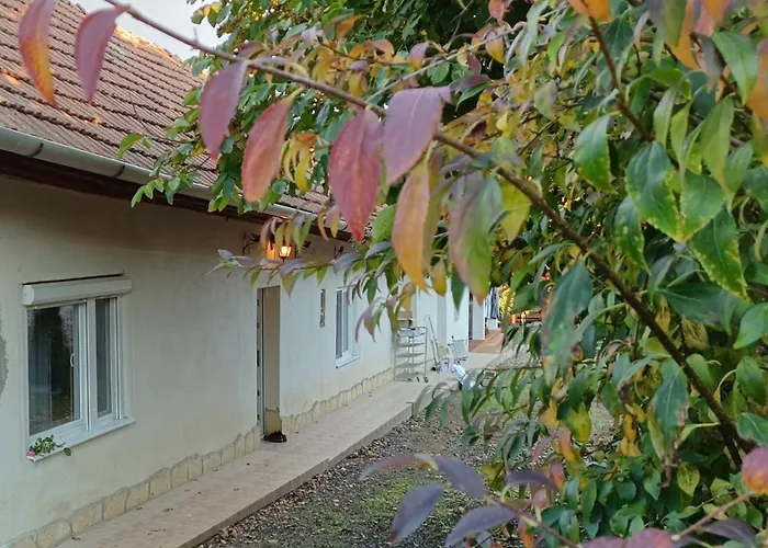 Tokaj-wine And Mád