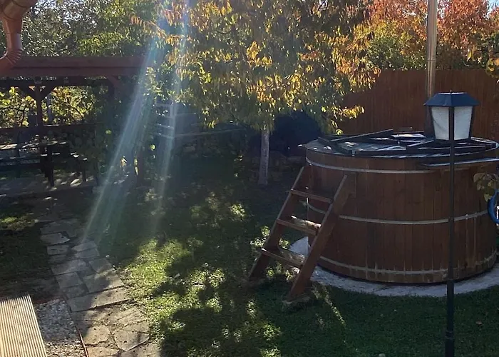 Willa Tokaj-wine And *